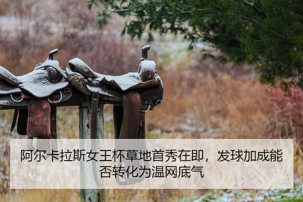 a-er-ka-la-si-nv-wang-bei-cao-di-shou-xiu-zai-ji-fa-qiu-jia-cheng-neng-fou-zhuan-hua-wei-wen-wang-di-qi-2-552.jpg