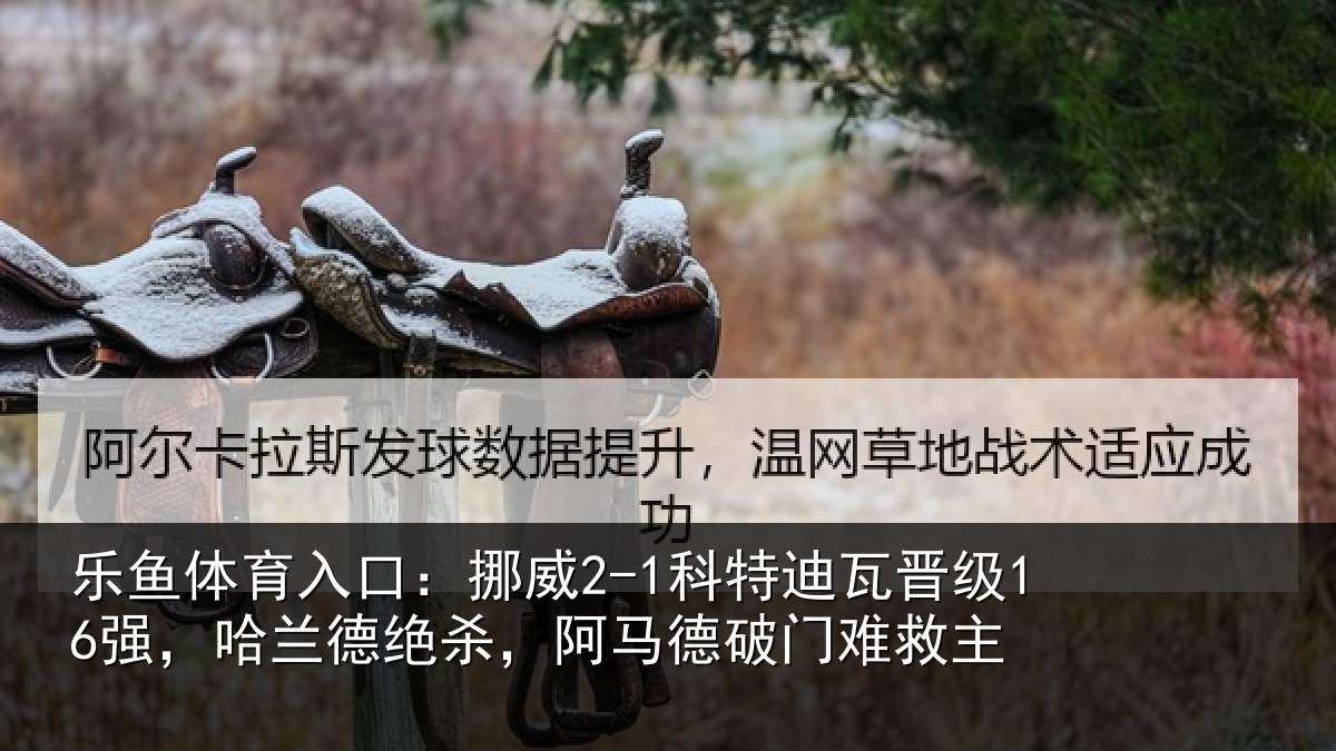 乐鱼体育入口:挪威相关情况兰德相关情况救主