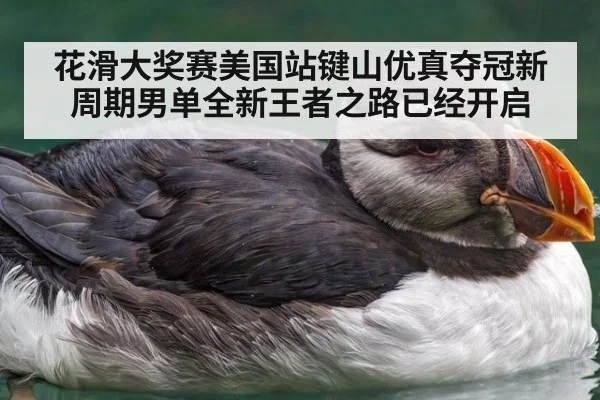 花滑大奖赛美国站键山优真夺冠新周期男单全新王者之路已经开启