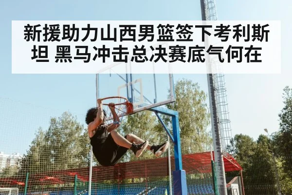新援助力山西男篮签下考利斯坦 黑马冲击总决赛底气何在